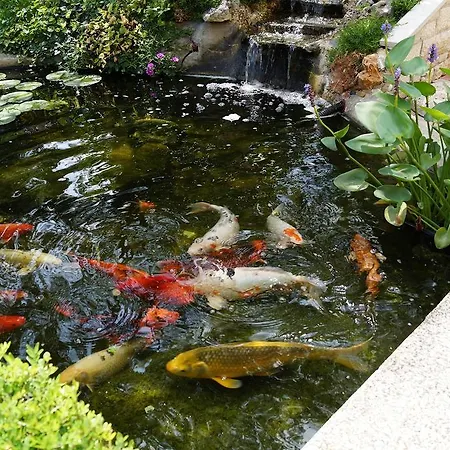 Appartamento Ginkgo *