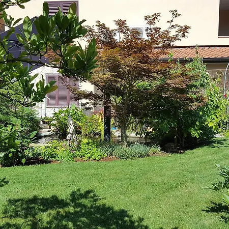Ginkgo Banjole