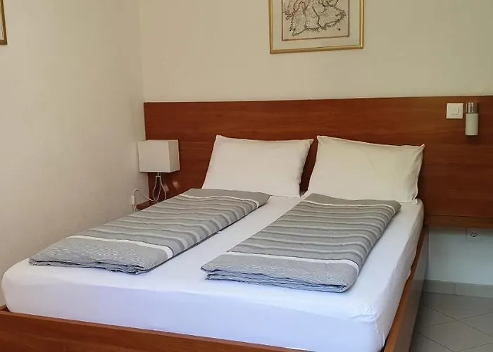 Ginkgo * באניולה