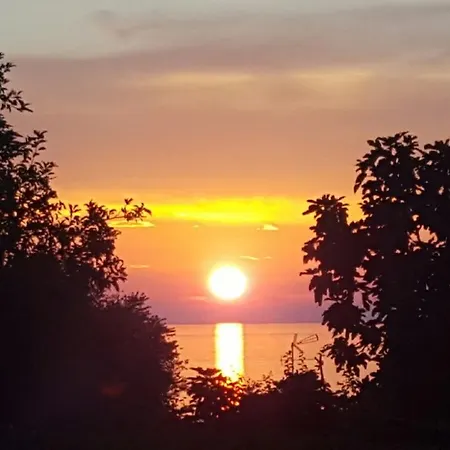 Ginkgo 公寓 班约勒